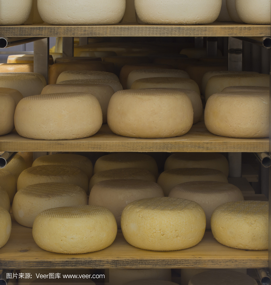 奶酪头。奶酪农场储藏室里的产品。